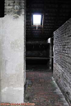 IMG_ (11530)